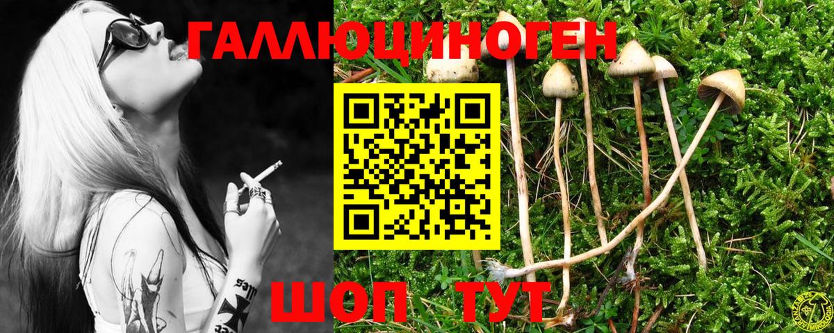Вязники  Псилоцибиновые грибы Cubensis  Вход с VPN 